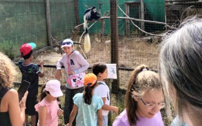 Visita ao parque zoológico Europaradise