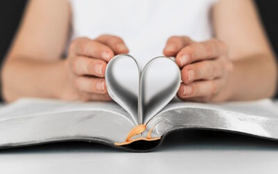 Um Território de Amor